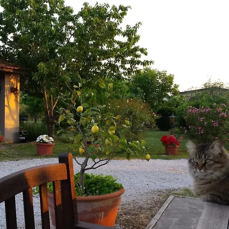 Agriturismo Podere La Cascata Farm stay Massa Marittima