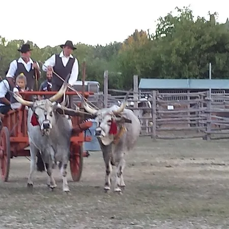 Agriturismo Podere La Cascata Gospodarstwo agroturystyczne *