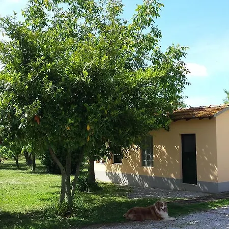 Farm stay Agriturismo Podere La Cascata Massa Marittima