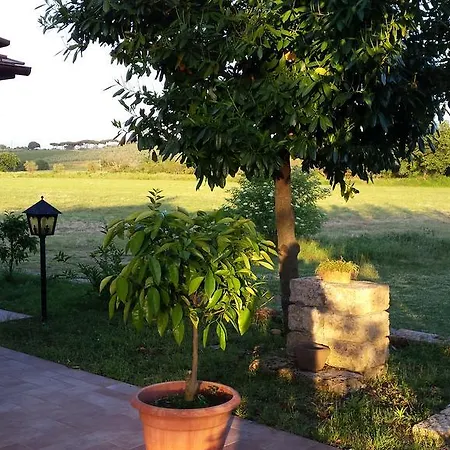 Agriturismo Podere La Cascata Massa Marittima