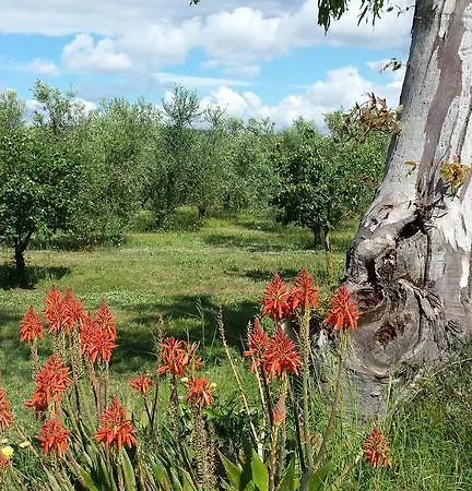 Gospodarstwo agroturystyczne Agriturismo Podere La Cascata *
