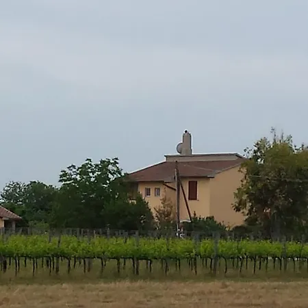Farm stay Agriturismo Podere La Cascata