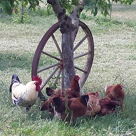 Agriturismo Podere La Cascata Farm stay *